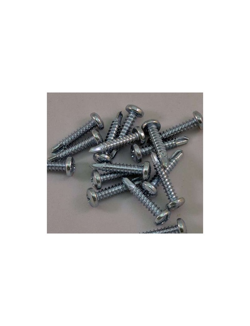 Lot de 10 Vis Zebra Auto-foreuses 4,2 X 22mm