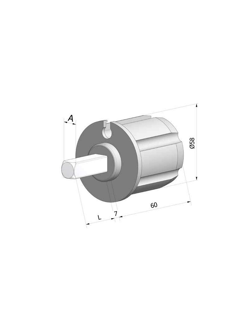 Embout de tube 60mm à gorge - carré de 13 Mâle