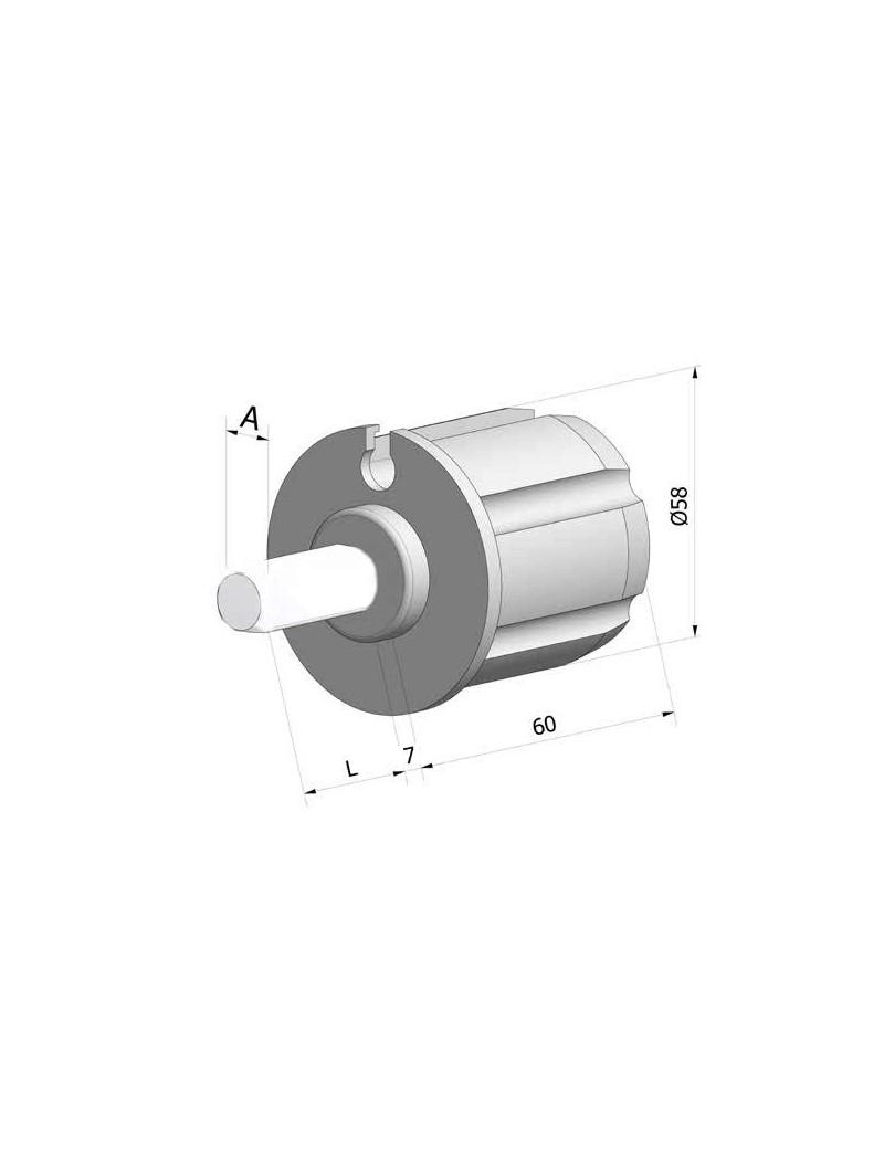 Embout de tube 60mm à gorge - rond de 12mm Mâle