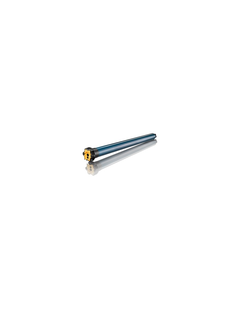 Moteur Somfy ILMO 50WT 20/17