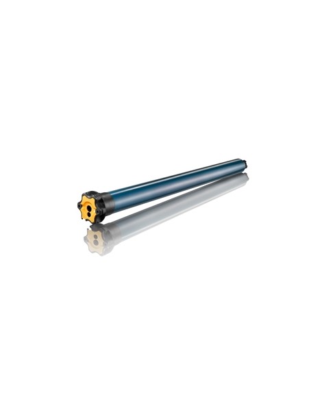 Moteur Somfy ILMO 50WT 20/17