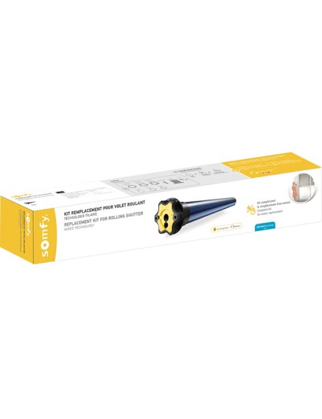 Kit Remplacement Moteur Somfy Ilmo WT 6Nm Fenetre
