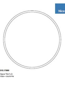 Roue et couronne Ogive 78 pour moteur Nice