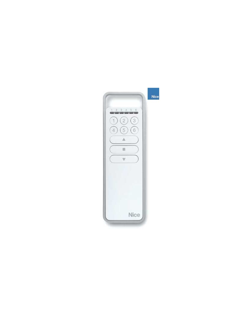Télécommande Nice ERA P6