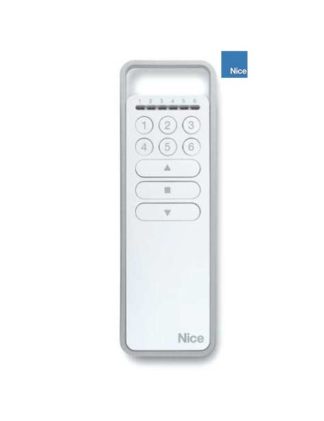 Télécommande Nice ERA P6