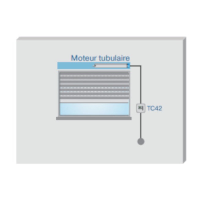 Inverseur Horloge TC42