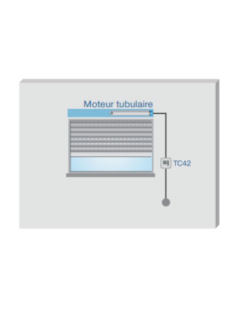 Inverseur Horloge TC42