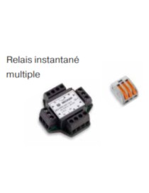 Relais instantané multiple