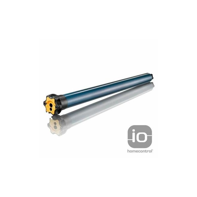 Moteur Somfy Oximo io 6/17
