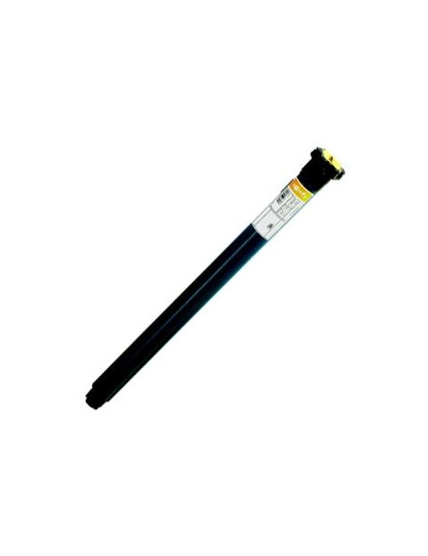 Moteur Somfy Oximo RTS Court 6/17