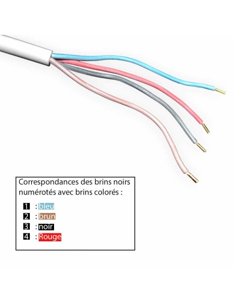 Câblage de couleur moteur Becker L35/8G 12V