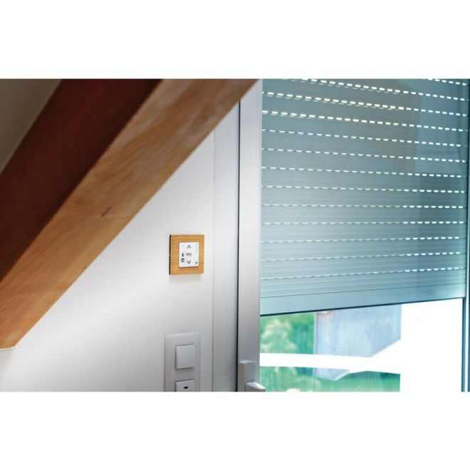 Moteur Somfy S&S RS100 iO 10Nm