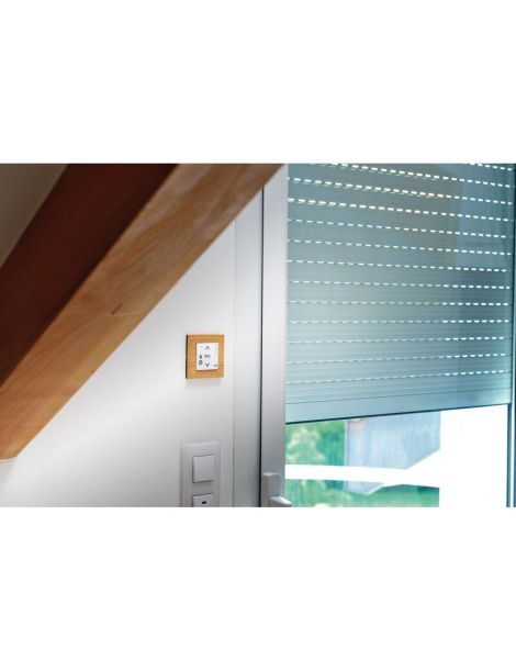 Moteur Somfy S&S RS100 iO 20Nm