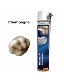 Mousse PU Universelle Manuelle - 750ml qualité Professionnel