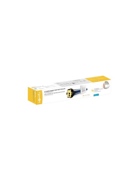 Kit Remplacement Moteur Somfy S&SO RS100 io Hybrid 15Nm Porte fenêtre