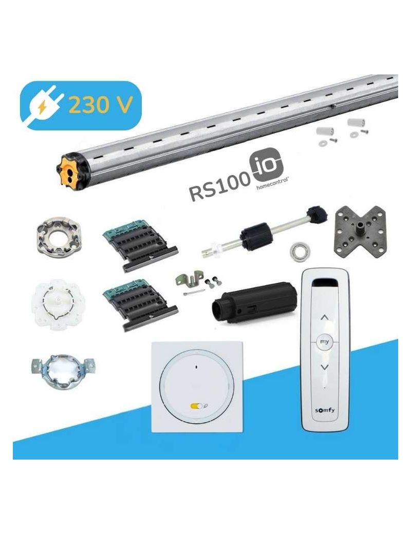 Axe motorisé Somfy RS100 io Radio