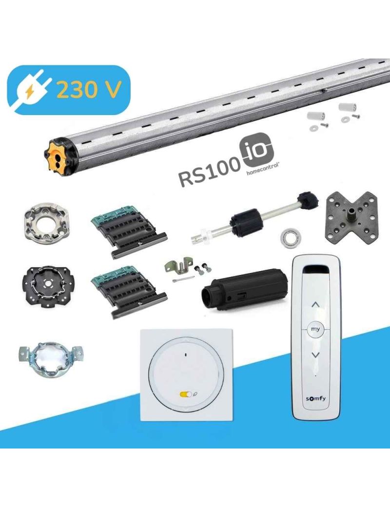 Axe motorisé Somfy RS100 io Radio