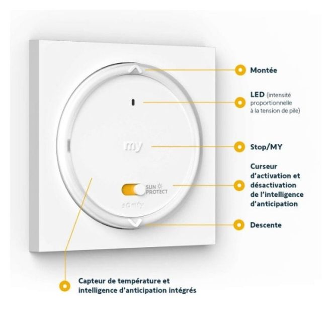 Emetteur Sun Protect Somfy Amy RS100 io information