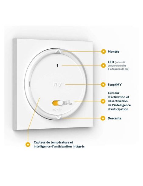 Emetteur Sun Protect Somfy Amy RS100 io information