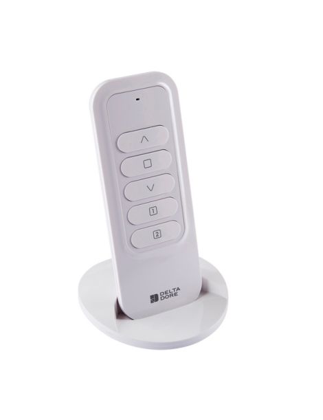 Télécommande radio Tyxia 1701