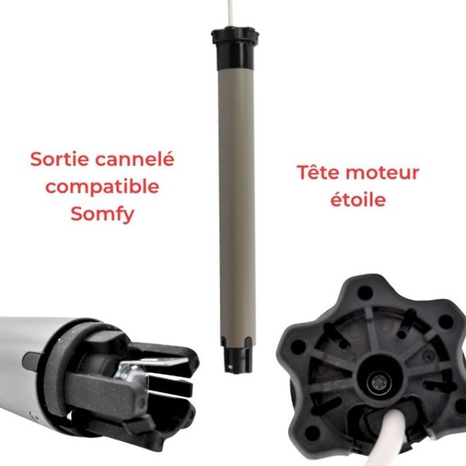 Moteur Filaire électronique 10 F2