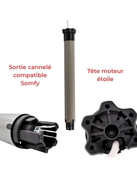 Moteur Filaire électronique 6 F2