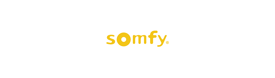 Support moteur Somfy