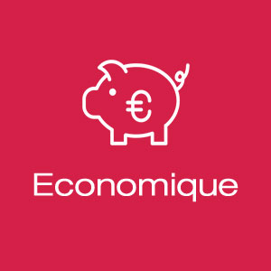 Réparation économique (peu chère)