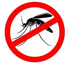 Bloquer les moustiques avec la moustiquaire