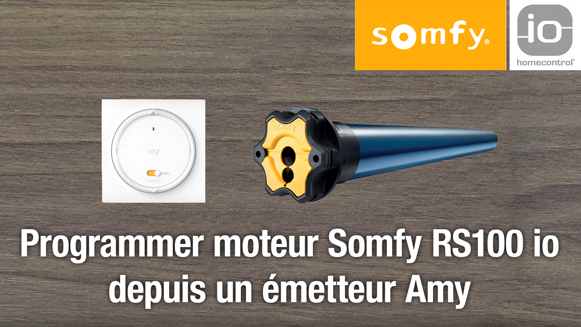 video Programmer moteur Somfy RS100 io et son émetteur Amy