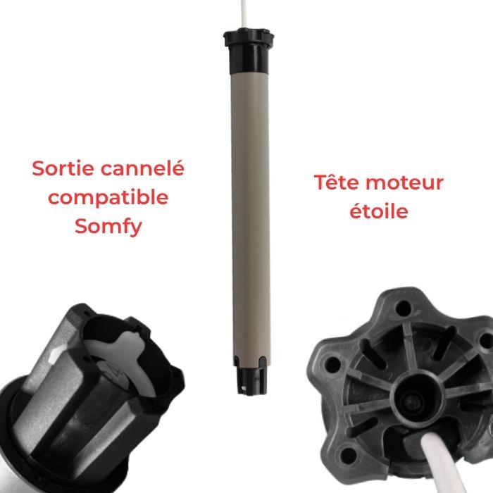 Image explicative du visuel du moteur Delta Dore ( tête étoile + embout cannelé somfy )
