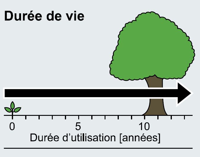 logévité exceptionnelle plus de 10 ans